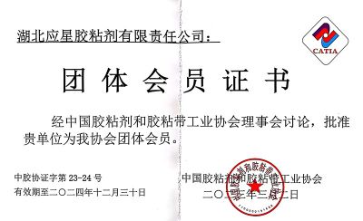 協(xié)會(huì)團(tuán)體會(huì)員證書